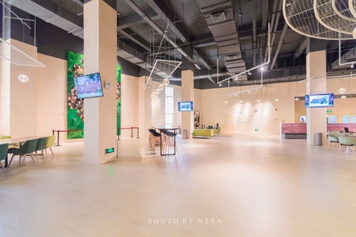 面面旅拍 探索奇妙科技工厂，坐拥海洋度假天堂，珠海夏日玩乐放纵之旅